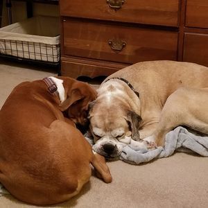 Meet your Posher, Debbie